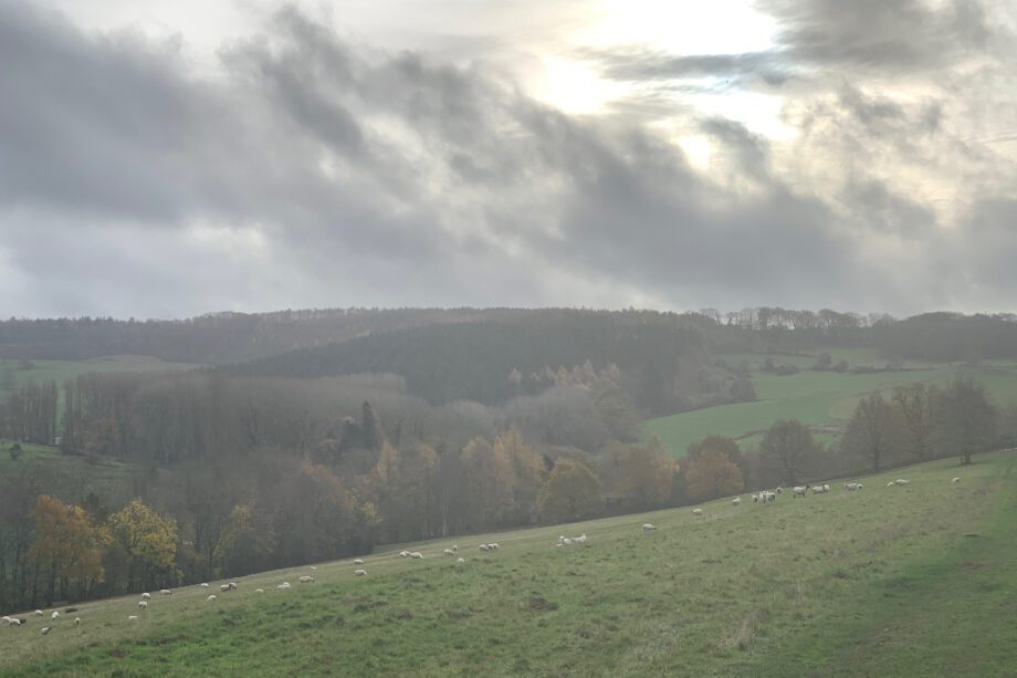A breezy stroll from Broadway, exploring the Cotswold way