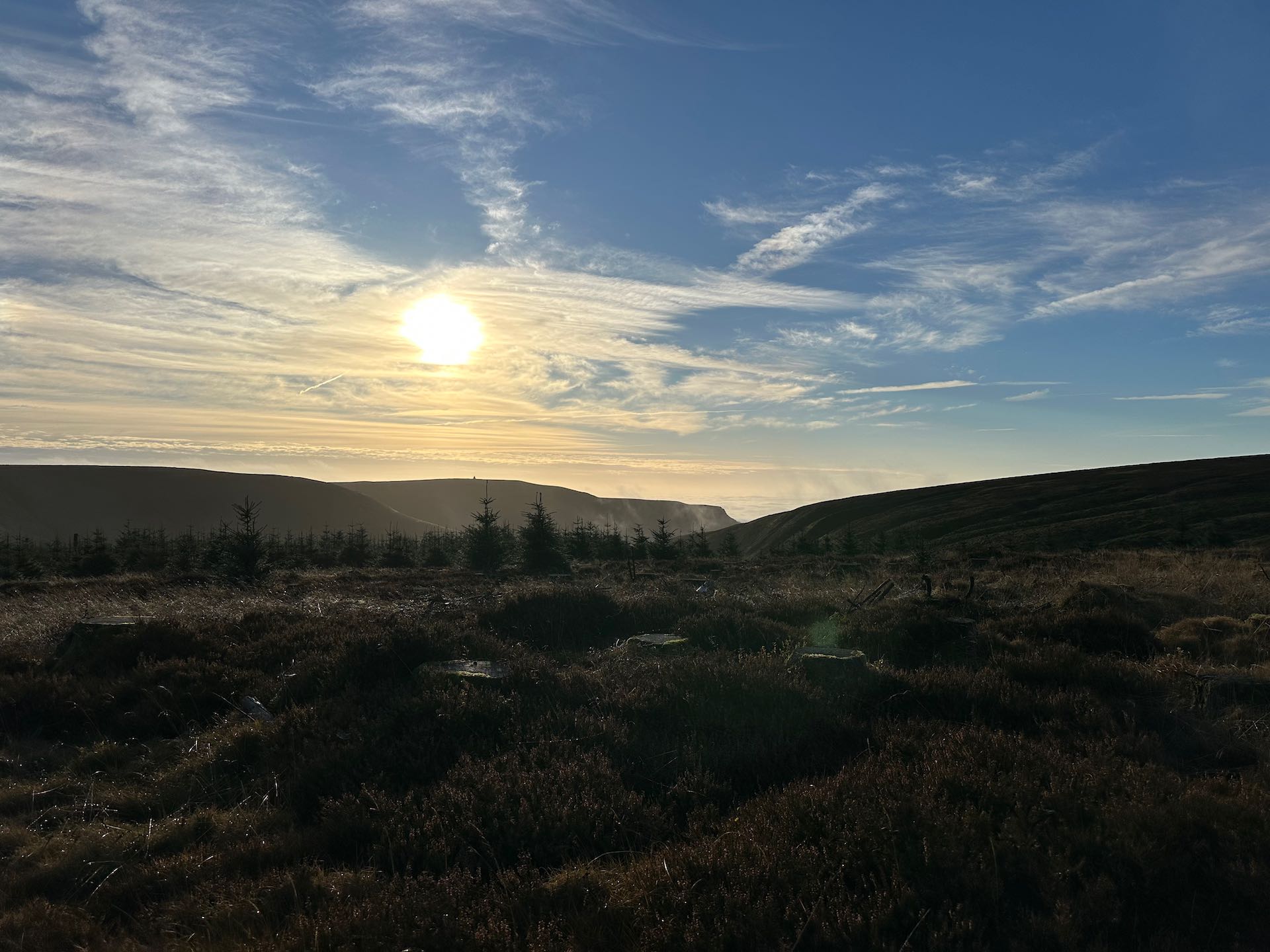 Foggy forests and boggy summits for a Nuttal bagging hike in Radnor Forest