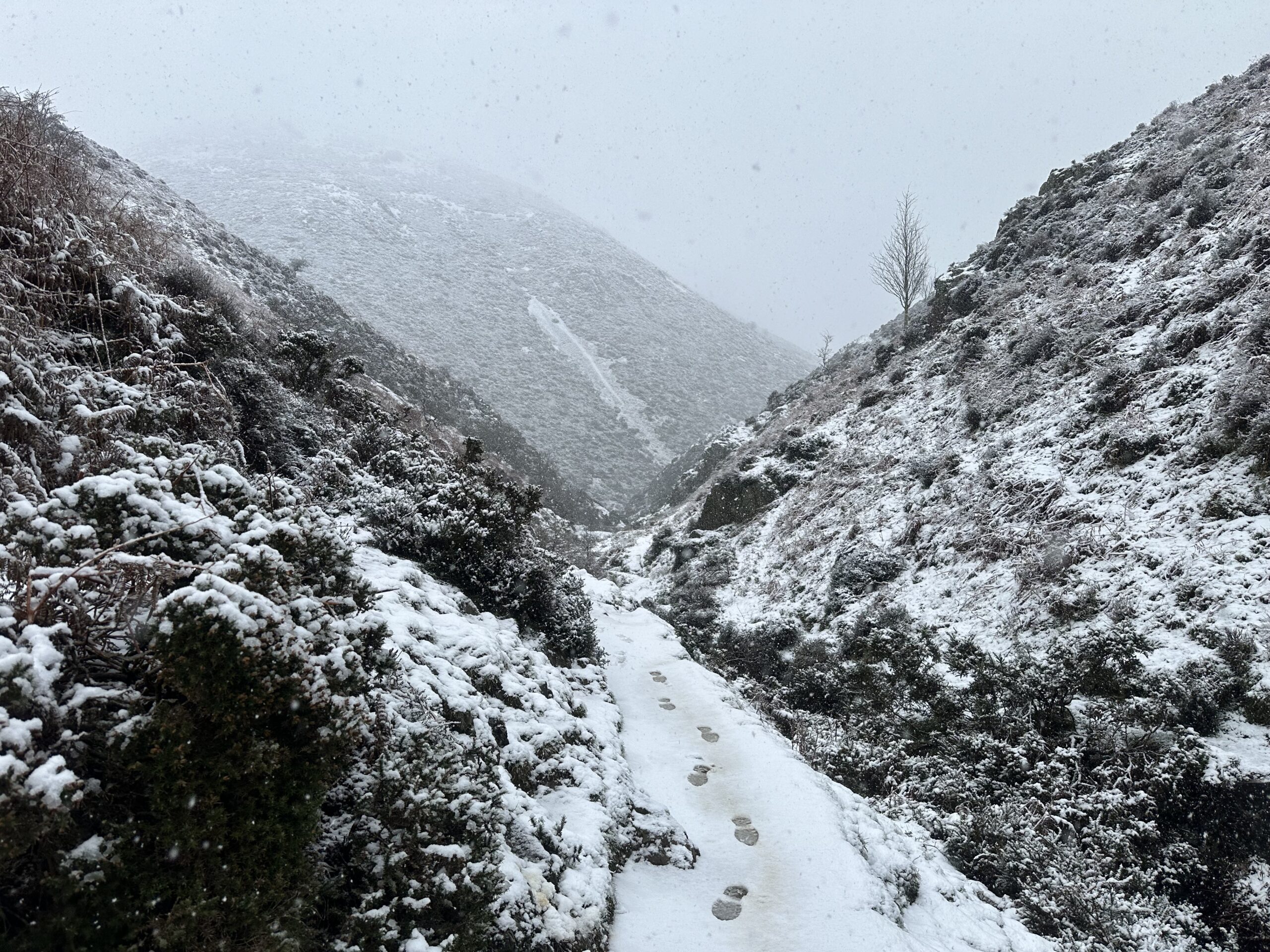 A snowy wintery hike in the Carding Mill Valley